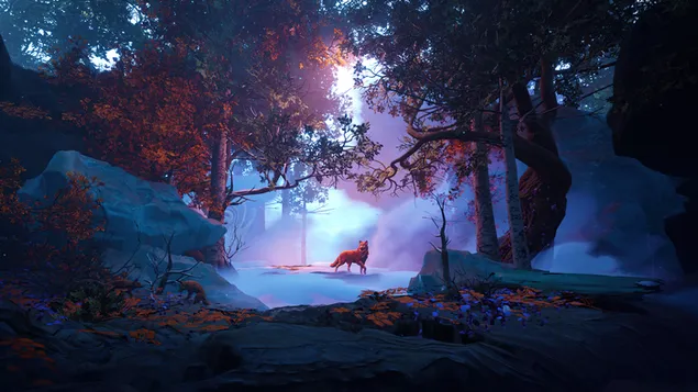 Fox Forest download