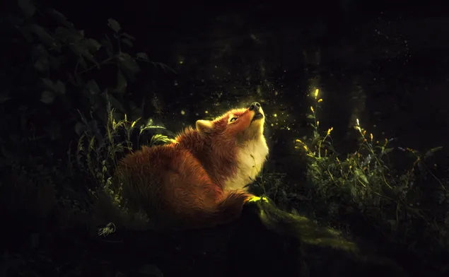 Fuchs im Zauberwald 4K Hintergrundbild