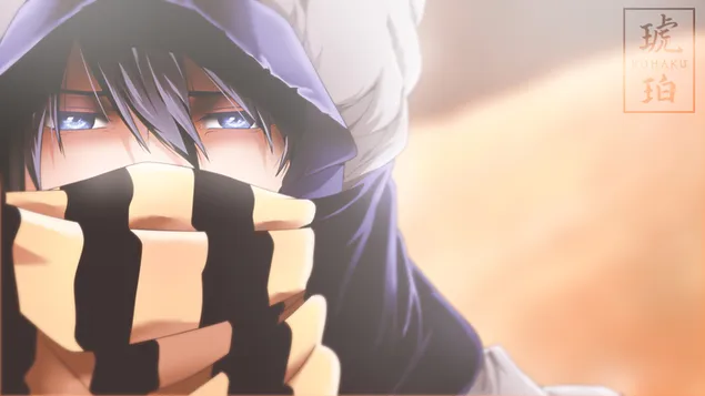 自由的！- 七瀨遙 2K 壁紙