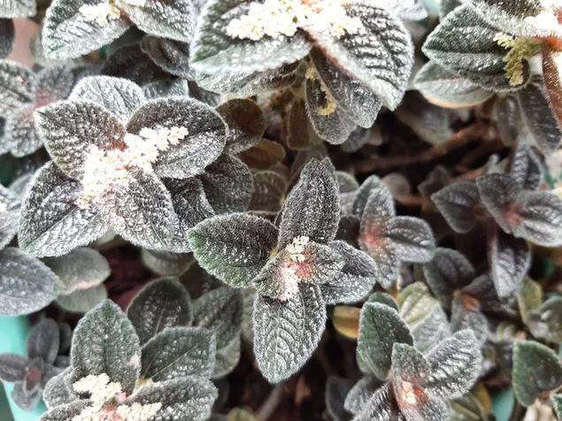 ykh zdgy rwy brg hy gyh brgyry khnyd