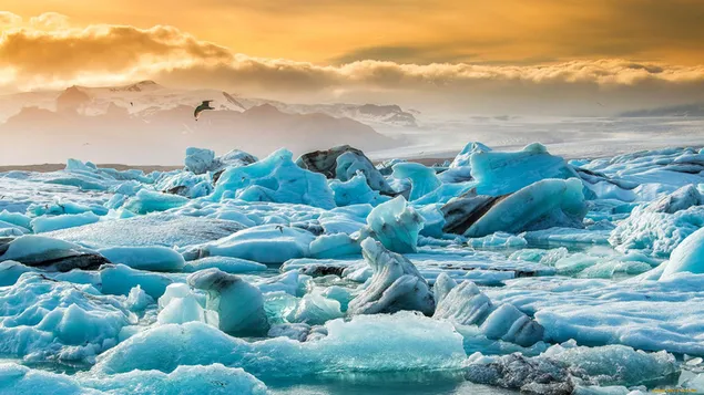 Bevroren ijsbergen HD achtergrond