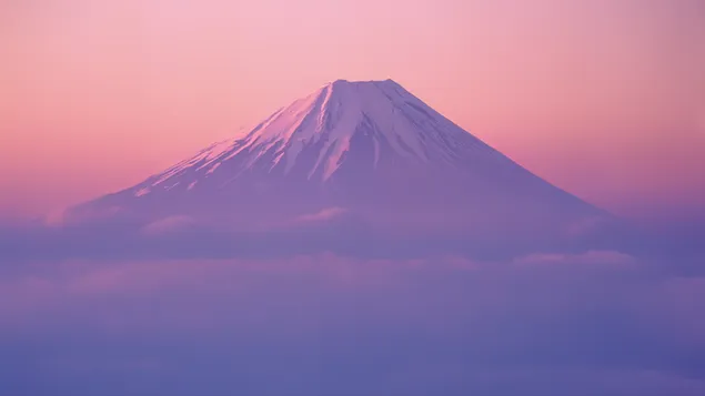Fuji mountain and ping backgound 4K wallpaper