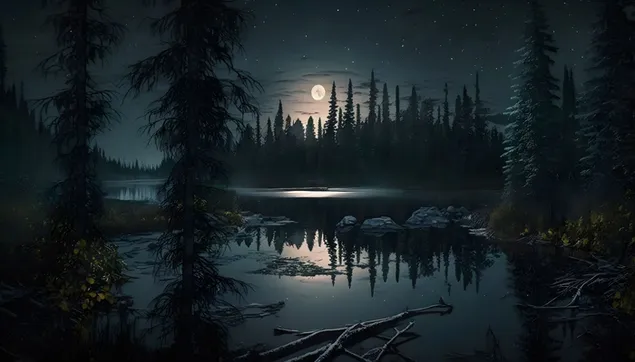 Paisaje de luna llena y bosque reflejado en el lago 4K fondo de pantalla