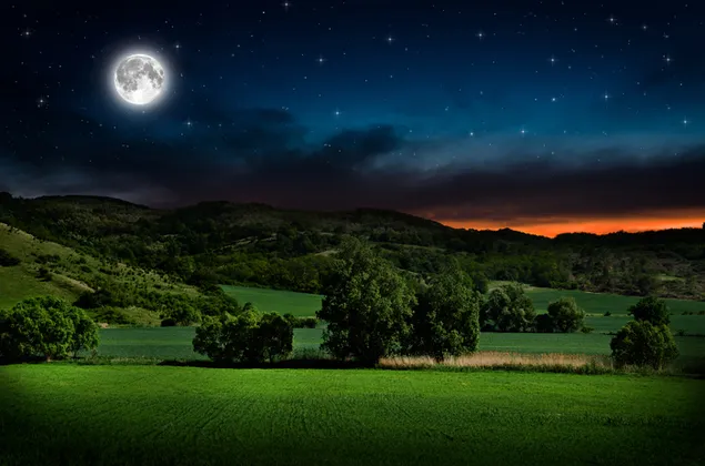 緑の野原に満月と星空 4K 壁紙