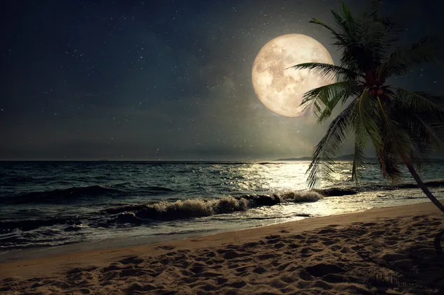 Luz de luna llena reflejada en la playa y el mar