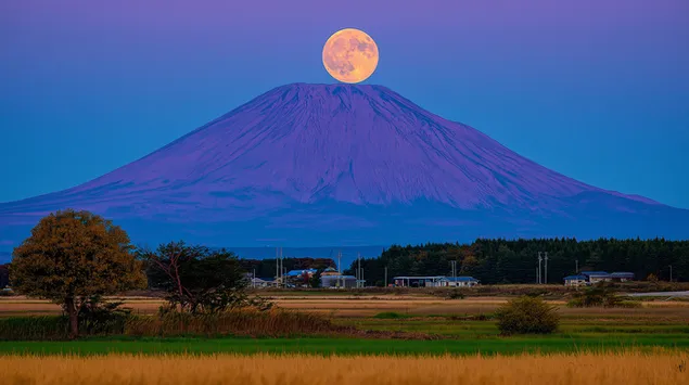 Bulan Purnama Terbit di Atas Gunung Fuji yang Megah dan Lapangan 2K wallpaper