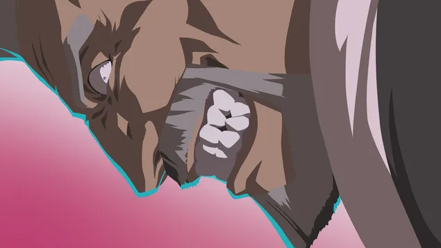 钢之炼金术士 - 乌鸦 2K 壁纸