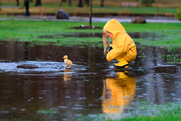 Gadis Kecil dan Bebek dalam Hujan unduhan