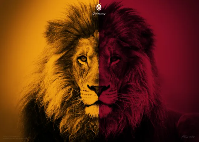 Galatasaray F.C. - Lion download