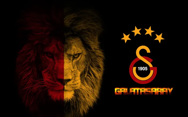 Logotipo del club de fútbol Galatasaray león 4K descarga de fondo de  pantalla