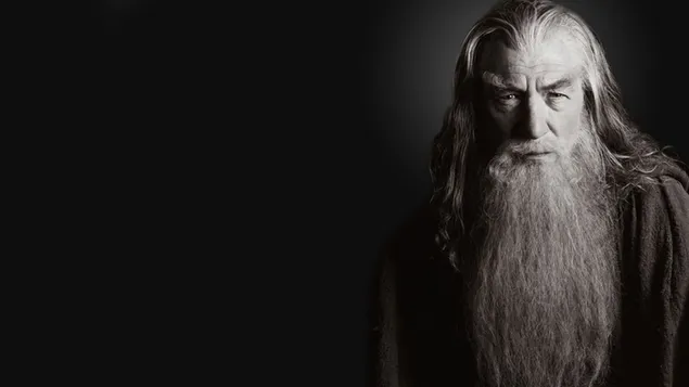Gandalf fond noir et blanc HD fond d'écran