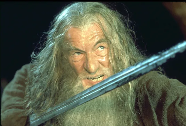 Gandalf El Señor De Los Anillos La Comunidad Del Anillo Hd Descarga