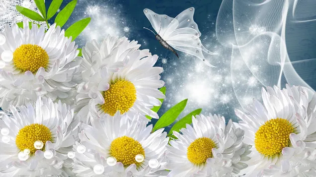 Gänseblümchen und weißer Schmetterling