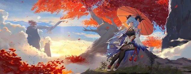 甘雨在夕陽的影子裡尋找心上人的特別| 甘信衝擊 4K 壁紙