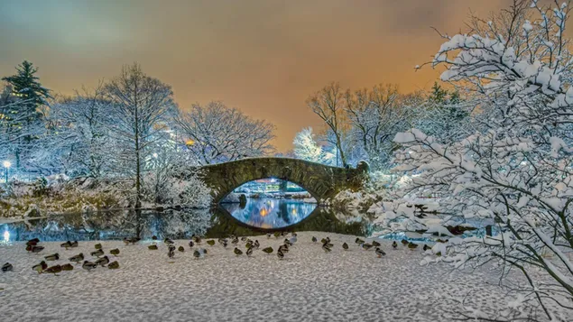 Gapstow bridge in central park in winter HD wallpaper