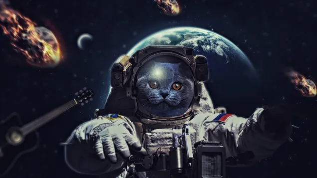 gato astronauta negro