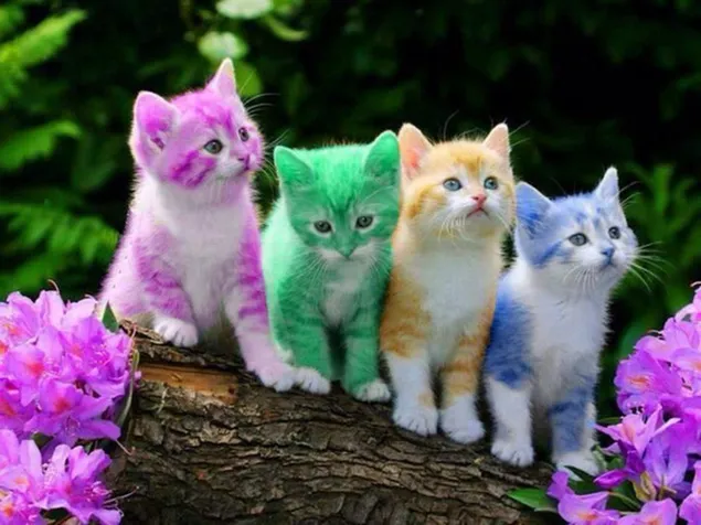 Gatos morados, verdes, amarillos y azules entre flores preparándose para celebrar pascua