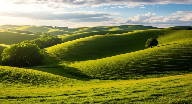 gb`vt `dynvt mkvsvt `shb yrvq v`shyr mshtr`vt tkht shmyym `zym, mvrym bvr shmsh khmym. nvp shlyv zh mqryn r`nnvt v hvrd