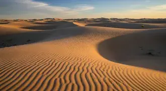gently rippled sand dunes glow with golden light under a clear evening sky, creating a tranquil and endless desert landscape