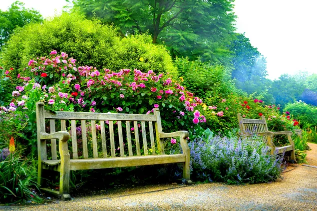 Ghế dài trong Công viên mùa xuân tải xuống