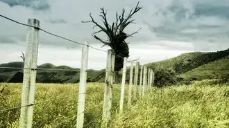 Arborele fantomă 2 4K imagine de fundal