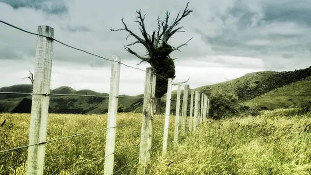 arbre fantome 2 telechargement