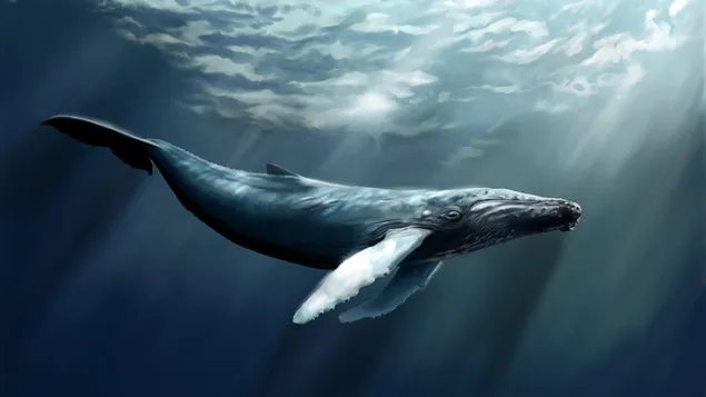 Гігантський кит завантажити