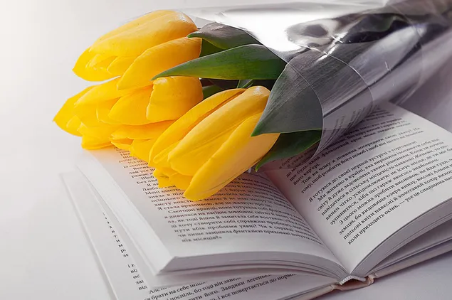 Geschenkverpakking van gele tulpen op open boek op witte achtergrond