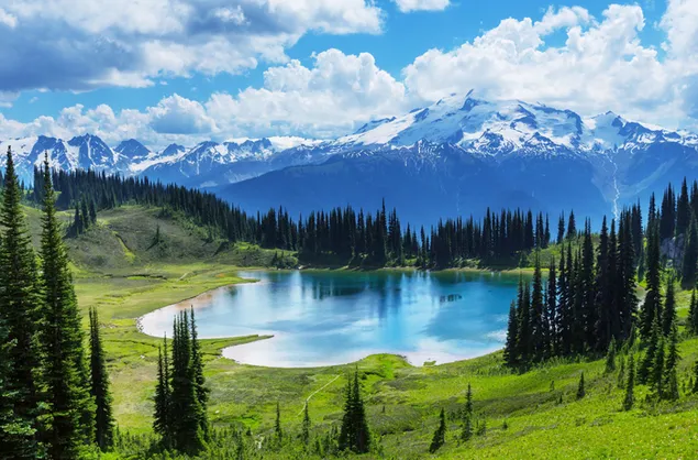 カナダのバンフ国立公園にある氷河で育ったモレーン湖で、緑と白の色の見事な景色を楽しめます 4K 壁紙