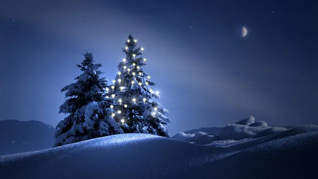 Glowing Christmas Tree HD wallpaper
