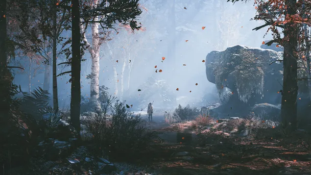 God of War 4 (videojoc) - Atreus al bosc baixada