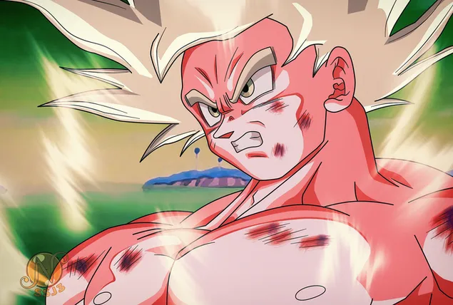 Goku beherrscht den Ultra-Instinkt-Dragon-Ball-Z-Stil 4K Hintergrundbild