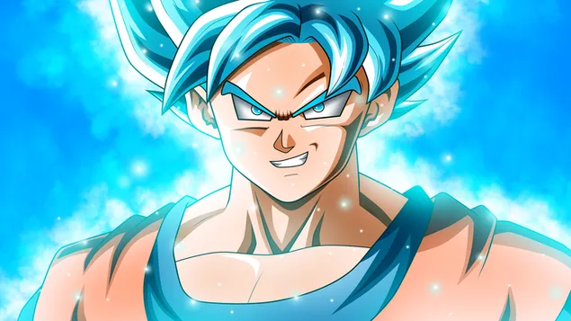 Goku Super Saiyan Blue 10k