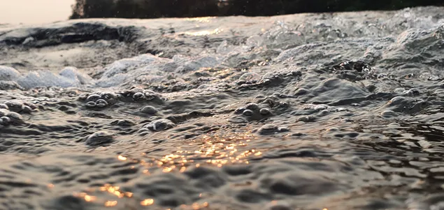 Taustakuva Kultainen kiilto 4K