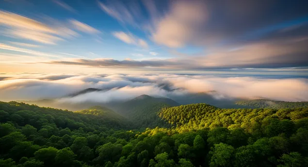 金色时分的山脉：云海与绿林 4K 壁纸