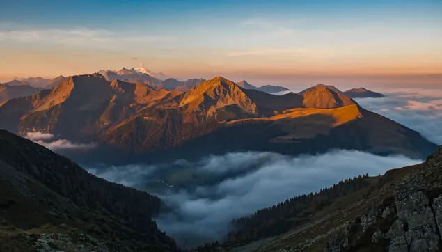 云雾缭绕的金峰：高山日出全景 8K 壁纸