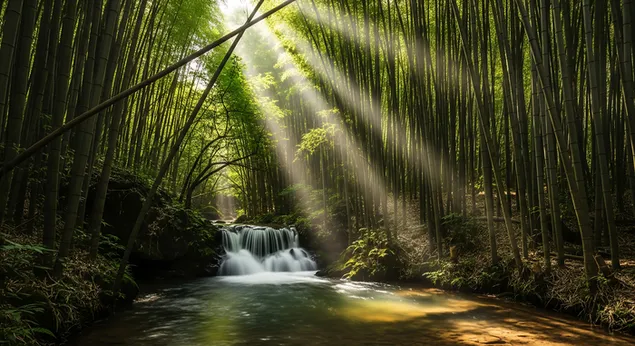 vr shmsh zhvb zvrm drk y`r bmbvq tspvp, myr mpl shlyv vnkhl tslvl, vyvtsr stsnh shlvvh vqsvmh. hvrd