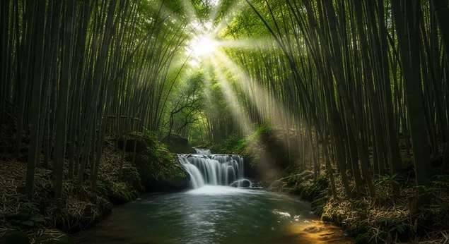 zlatave slunecni svetlo proudi skrz tycici se bambus a vrha svetelne paprsky na klidny vodopad a kristalove cistou tun v klidnem lese. stahnout