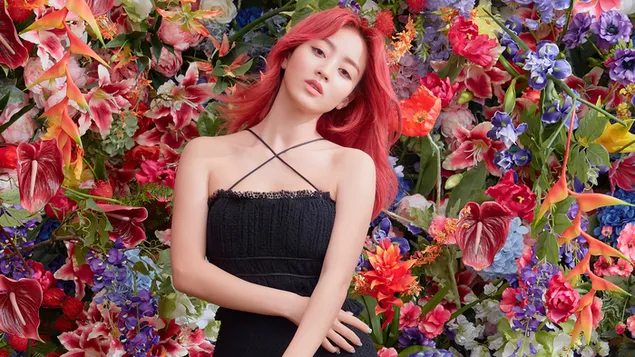 Páipéar balla Johyo taibhseach san MV ‘I Can’t Stop Me’ (2020) Shoot from Twice (K-Pop Band)4K