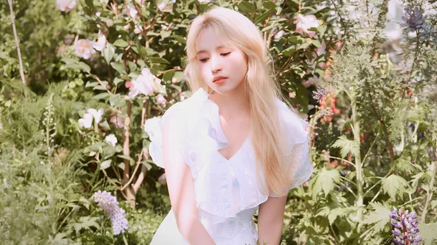 'More & More' MV [2020] 트와이스의 화려한 미나 (K-Pop Band) 4K 배경화면