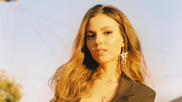 广告牌拍摄中的华丽“维多利亚正义” 4K 壁纸