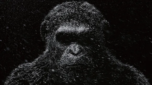 monstruo gorila 4K fondo de pantalla