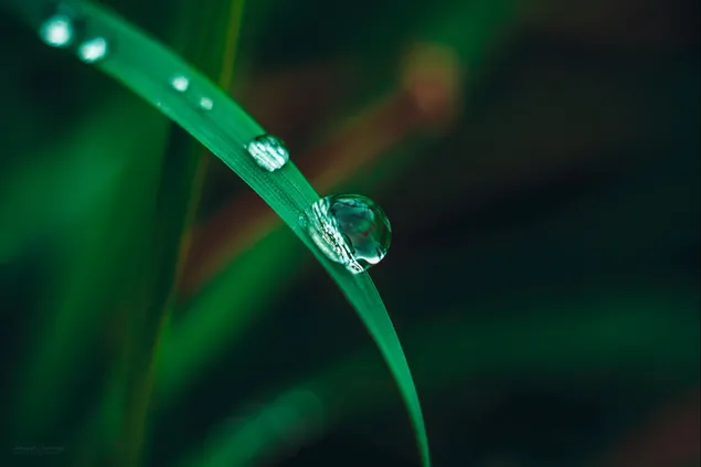 Gotas de agua micro fotografía descargar