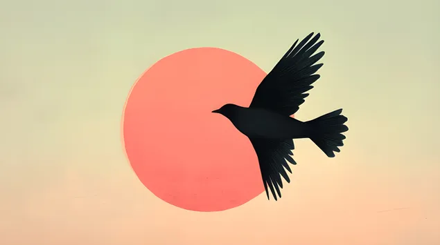 צללית ציפור חיננית נגד אופק זריחה 2K טפט