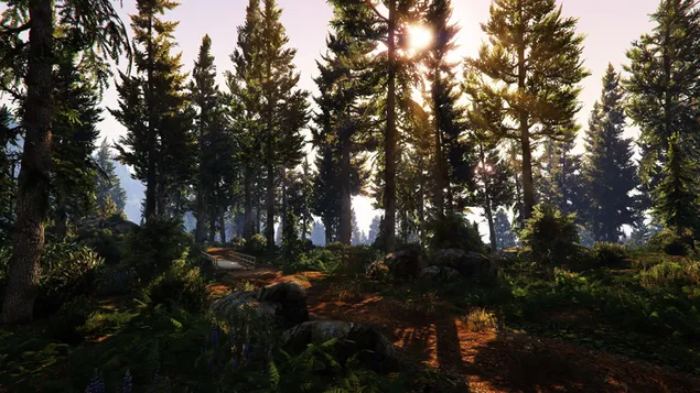 Pencurian besar mobil v - di hutan HD wallpaper