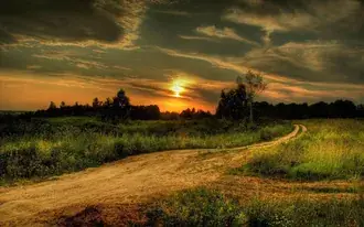 Grass and tree silhouettes near dirt road in field with sunset lights and cloudy sky view 2K wallpaper