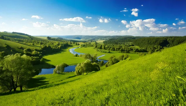 ภูมิทัศน์ทุ่งหญ้า 2K วอลเปเปอร์