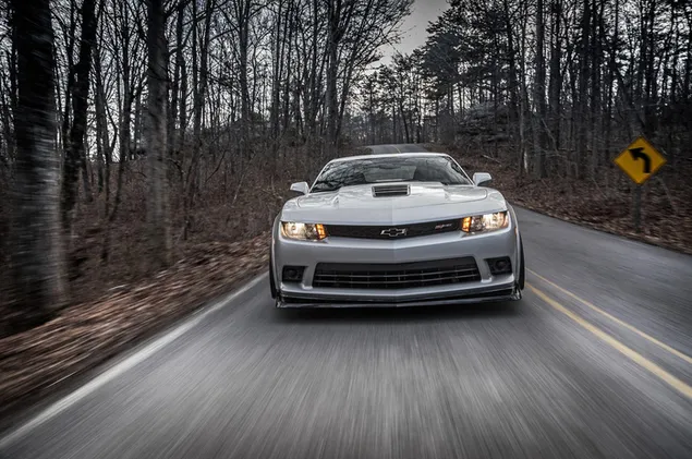 Gray Chevrolet Camaro Z28 driving along the forest road download