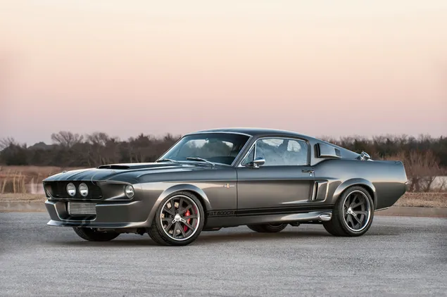 Grijze Shelby GT350 sportwagen download