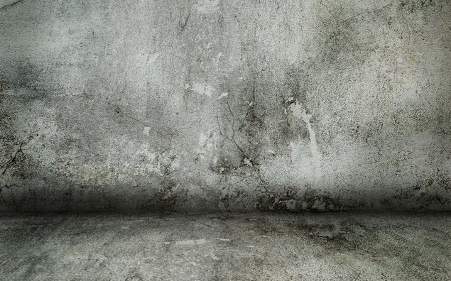 Muro de piedra gris, muro de hormigón, fondo descargar